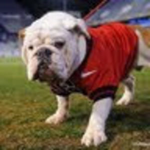 Meet your Posher, Ethan